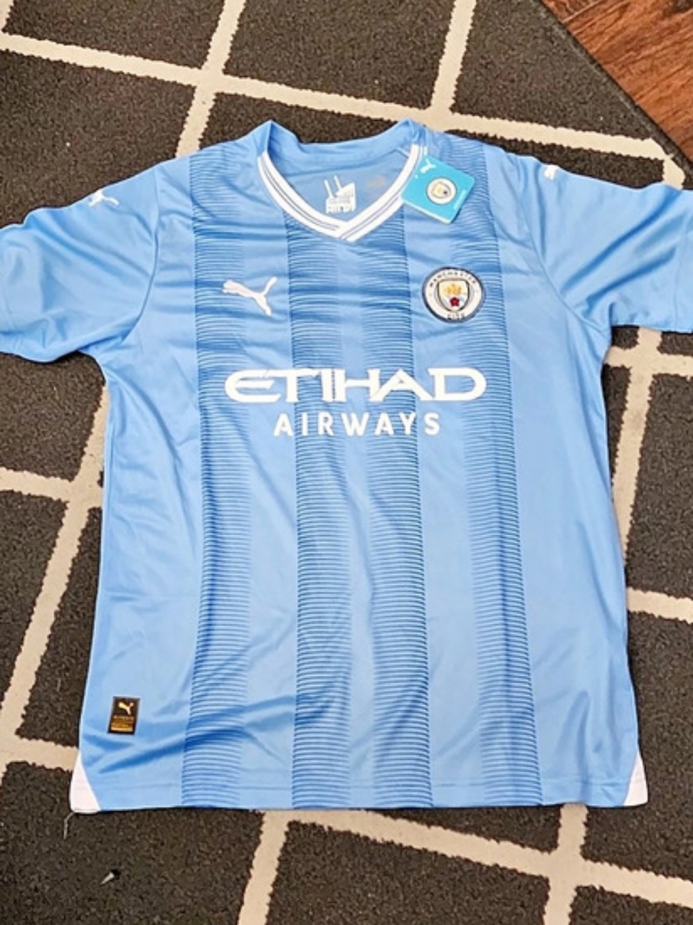 Puma Manchester City 2024/25 Home Jersey Blue Striped